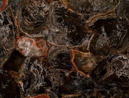 It is inexpensive, beautiful and popular. Backlit Semi Precious Jasper Stones Black Petrified Wood Gemstone Slabs Tiles Pfm Stone Building Art