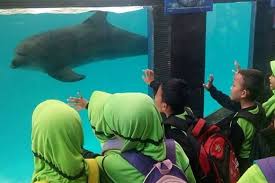 Pantai sigandu termasuk pantai di kabupaten batang yang kaya akan sumber daya alam dan termasuk dua kategori kawasan strategis (kawasan pelabuhan niaga dan pengembangan wisata). Catat Harga Dan Cara Beli Tiket Batang Dolphins Center 2020 Halaman All Kompas Com
