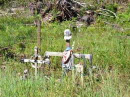 Remembering a senseless tragedy