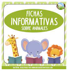 Portada Fichas Informativas Juegos Infantiles School Activities Childrens Education Dual Language Classroom