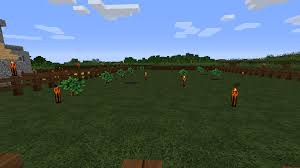 Thought I Would Share This Tips For Getting Those Big Ol' Tree :) :  R/Minecraft