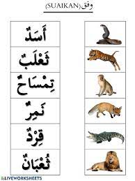 Berdasarkan penyebaran geografisnya, bahasa arab percakapan memiliki banyak variasi (dialek), beberapa dialeknya bahkan. Ejercicio De Ù†Ø­Ø¨ Ø§Ù„Ø­ÙŠÙˆØ§Ù†Ø§Øª