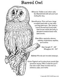 Owl in a hollow tree nest  nests   trees . Unique Coloring Pages Owl Ornate