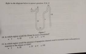 Print Foundations Of Biology Final Test 2 Flashcards Easy Notecards