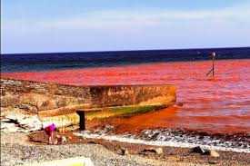 Water at Devon coastal resort turns blood red after yet another suspected  cliff collapse | Devon Live