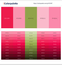 This and the following pages show a set of colors with their name, structured by sixteen predefined hue ranges and the range sets ordered by luminance. Crimson Sweet Pink Chelsea Cucumber Cupid Tickle Me Pink Color Scheme Icolorpalette
