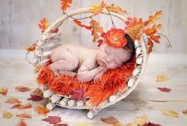 Thanksgiving november baby photoshoot ideas. 9 Best November Baby Pictures Ideas November Baby Baby Pictures Baby Photos