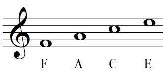 Music notes and music theory. Note Names Music Theory