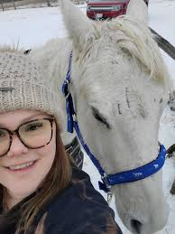 Any one know my sweet girl? She is a 14 year old grade QH. Standing 15.1,  she is the kindest soul. She was purchased at auction some where in  Alberta, Canada. I