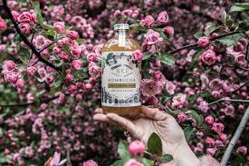 Maybe you would like to learn more about one of these? Bke Kombucha Brewers Work Overtime In Nyc Hospitals Fighting Coronavirus And Try To Keep Their Business Alive Eater Ny