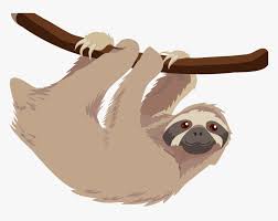 Check spelling or type a new query. Sloth Png Transparent Sloth Images Sloth Cartoon Transparent Background Png Download Kindpng