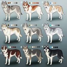 77 Best Husky Eyes Images Husky Husky Puppy Cute Dogs