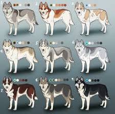 77 best husky eyes images husky husky puppy cute dogs