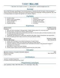 Web Developer Resume Examples Created By Pros Myperfectresume