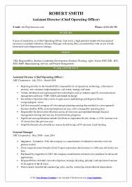 chief operating officer resume samples