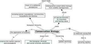 Also, see if you ca. Conservation Biology Quiz Questions Proprofs Quiz