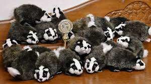 Maybe you would like to learn more about one of these? Sisu Triathlon