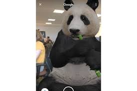If You Google Giant Panda On Your Phone An Interactive 3d Bear Arrives And It Works For Other Animals Too