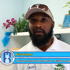 Snake Bite Education