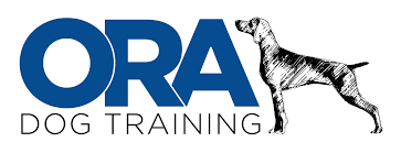 Housetraining a puppy in new york city can have unique challenges compared to raising a pup in a suburban or rural area where there is easy access to grass. Premier Dog Training Board Train Private Lessons Puppy Training