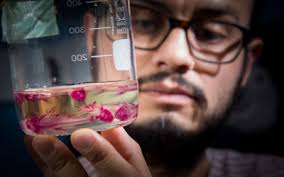 UCL Research Department of Neuroscience, Physiology and Pharmacology  Fellowships