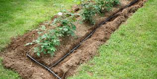 We did not find results for: Bewasserungssysteme Fur Garten Und Balkon Gartenpflege Mit System