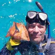 Plunge Router 14 Amp, 23000 Rpm, 110 Volt