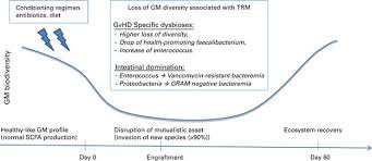 Recent papers in hematopoietic stem cell transplantation. Gut Microbiota And Hematopoietic Stem Cell Transplantation Where Do We Stand Bone Marrow Transplantation