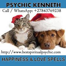Get Voodoo Love Dolls Call Whatsapp 27843769238 Love Spell Caster Online Psychic Love Psychic