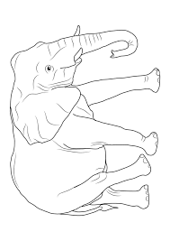 45 Disegni Di Elefanti Da Colorare Disegno Di Elefante Disegni Da Colorare Disegni