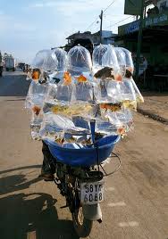 Vietnam Y Mas Viajes En El Blog De Iest Viajes Www Iest Es Vietnam Resimler Tasimacilik
