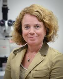 New Biomedical Science Chair Named