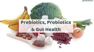 Nutrition 101: Prebiotics, Probiotics and the Gut Microbiome – Food Insight
