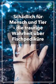 Fische Leiden Menschen Werden Krank Die Traurige Wahrheit Uber Fischpedikure Video Wahrheit Fische Traurig