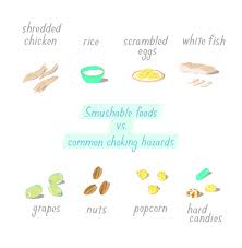 Image result for Solid Food Introduction in Infants