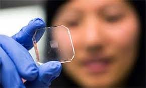 UW Bioengineering eNews