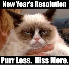 New Year S Resolutions Grumpy Cat Grumpy Cat Humor Funny Cat Memes