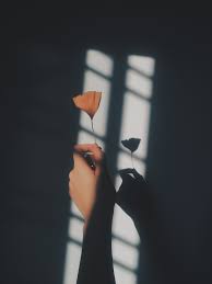  Me Gustas Tanto Como Los Atardeceres Porque Siempre Estas Pintando Mi Mundo De Colores à¸à¸²à¸£à¸– à¸²à¸¢à¸ à¸²à¸žà¸¨ à¸¥à¸› à¸à¸²à¸£à¸– à¸²à¸¢à¸ à¸²à¸žà¸˜à¸£à¸£à¸¡à¸Šà¸²à¸• à¸­ à¸™à¸ªà¸•à¸£à¸²à¹à¸à¸£à¸¡