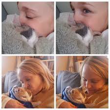 Thanks for the add! I'd like you to meet Molly and Matilda. My 2 bonded  girls who were abandoned 5 years ago at my office. (Luckiest day of their  lives) they are