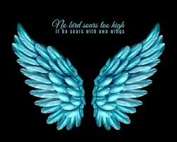 Lade Farbe Vogel Flugel Hintergrund Kostenlos Herunter Vogelflugel Creative Ideen Bilder