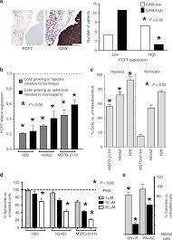 Standard treatment for malignant peritoneal mesothelioma has not been. Impact Of Hypoxia On Chemoresistance Of Mesothelioma Mediated By The Proton Coupled Folate Transporter And Preclinical Activity Of New Anti Ldh A Compounds British Journal Of Cancer