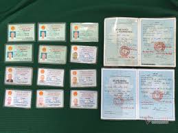 Minh thư sinh ra và lớn lên tại thành phố hồ chí minh trong một gia đình năm thành viên: Phat Hiá»‡n Cá»¥ Ong Äƒn Xin á»Ÿ Sai Gon Co Ä'áº¿n 12 Chá»©ng Minh ThÆ° Vietnamnet