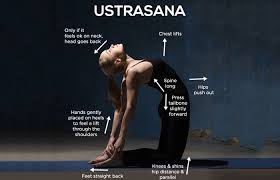 Pin On Yoga