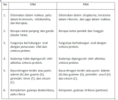 Lengkap 50 Contoh Soal Essay Biologi Kelas 12 Sma Ma Semester Ganjil Terbaru Bospedia
