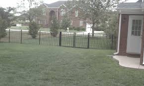 The center dies out, even when you cut it back yearly. How Fast Does Pampas Grass Beach Grass Grow Hometalk