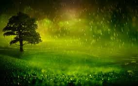 Nature Rain Wallpapers Top Free Nature Rain Backgrounds Wallpaperaccess Download the perfect rain pictures.