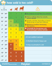 Handy Chart Tells You When Its Too Cold To Walk Your Dog