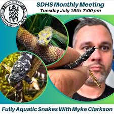 Pursuing the Mysterious World of Lizards with Herpetologist Adam Rosso