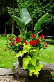 We did not find results for: Fernlea Flowers Home Facebook