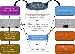 The earlier the detection of prostate cancer, the better the patient's chance of survival is. Nutraceuticals In Prostate Cancer Therapeutic Strategies And Their Neo Adjuvant Use In Diverse Populations Npj Precision Oncology